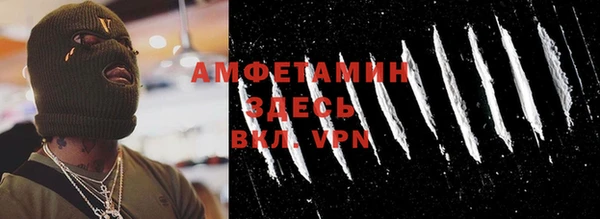 гидра Каменка