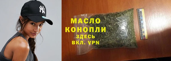 гидра Каменка