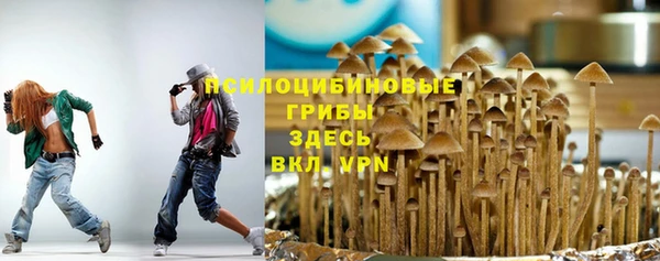 гидра Каменка